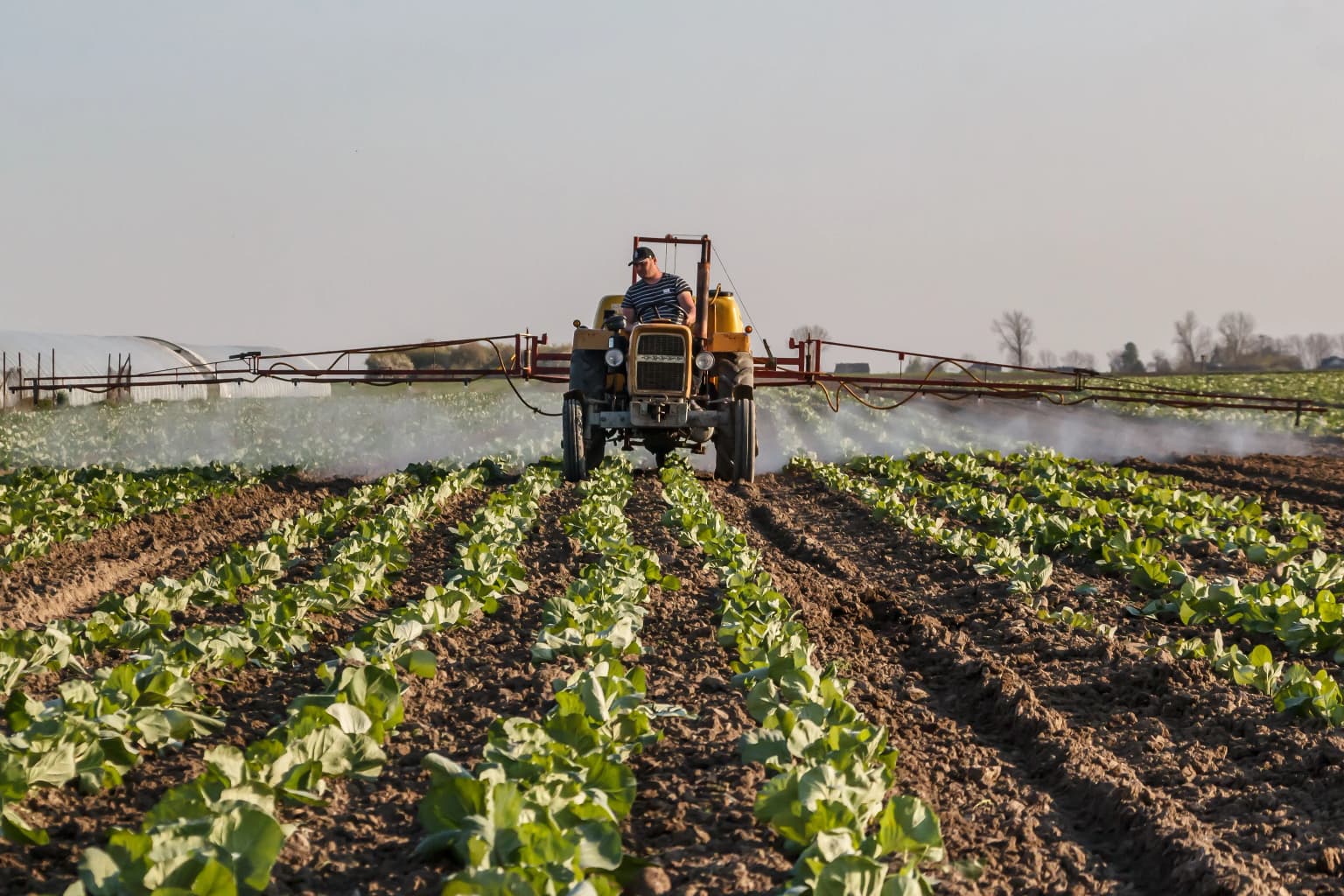 Agriculture commodity category